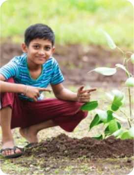 Providing fruit saplings to Govt. Higher Secondary School